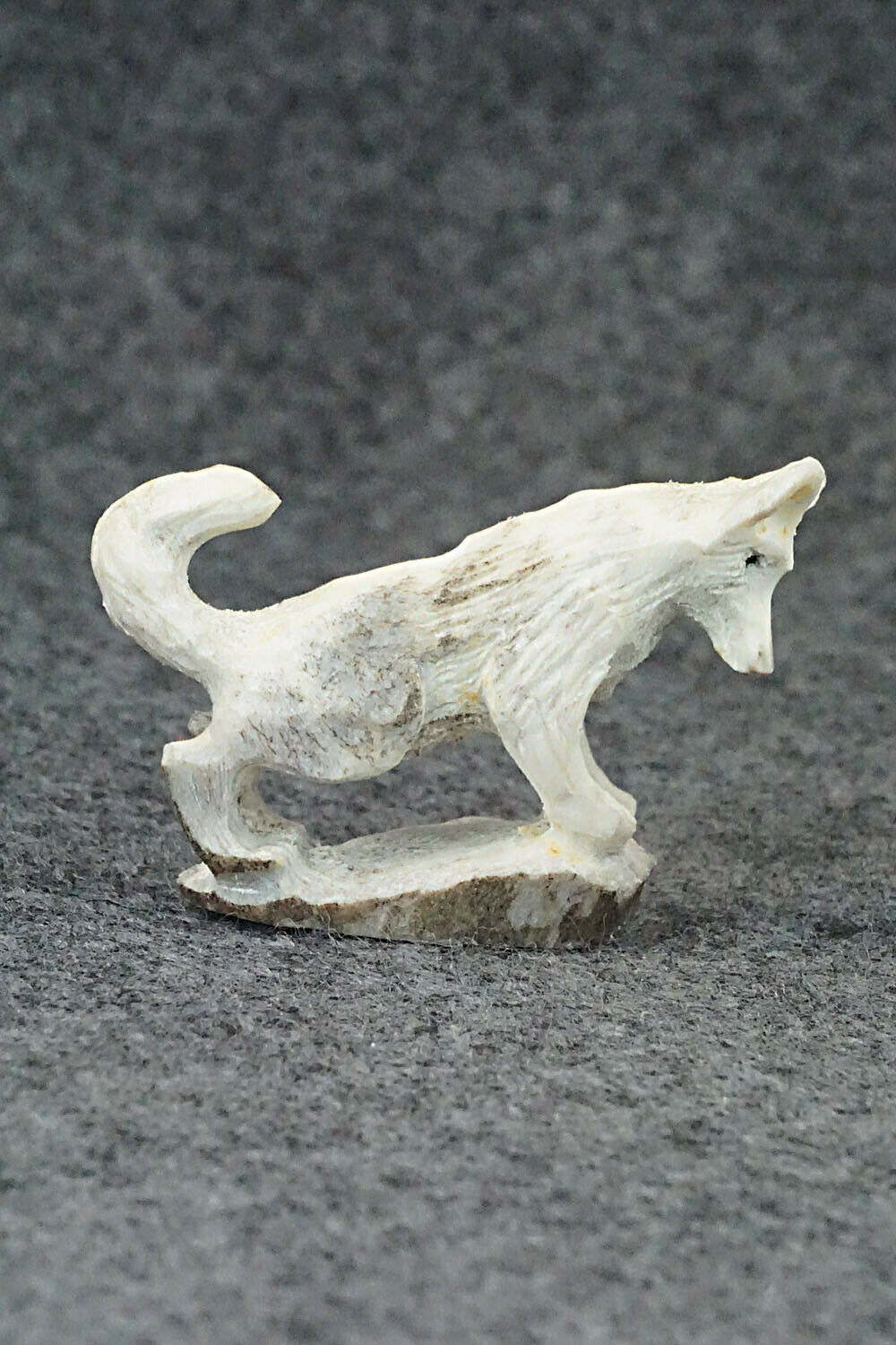 Wolf Zuni Fetish Carving - Lewis Malie Jr.