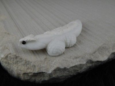 Lizard Zuni Fetish Carving - Lee Bedonie - High Lonesome Trading