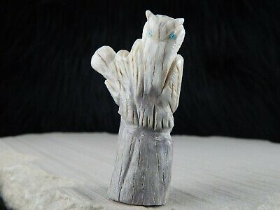 Owl - Zuni Fetish - Allison White - Zuni Owl Carving - Native American - High Lonesome Trading