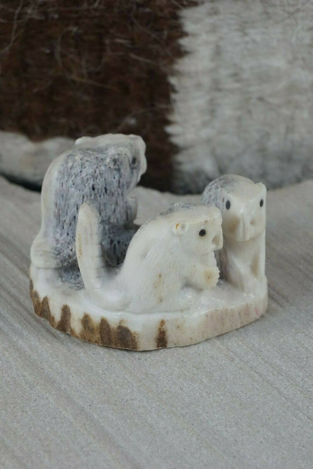 Beaver Zuni Fetish Carving - Maxx Laate - High Lonesome Trading
