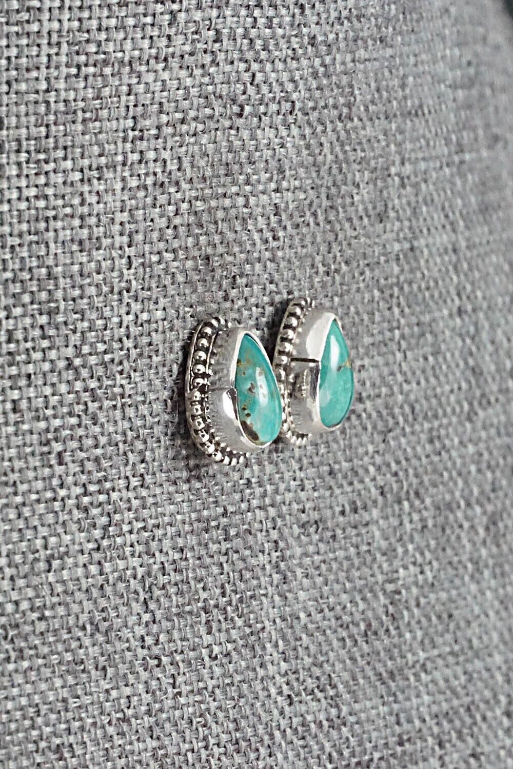 Turquoise & Sterling Silver Earrings - Rosemary Saunders
