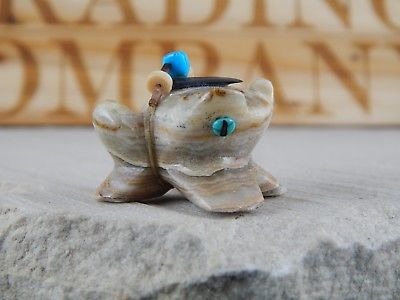 Frog Zuni Fetish Carving - Rick Quam - High Lonesome Trading
