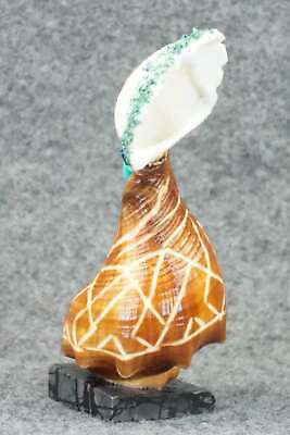 Corn Maiden Zuni Fetish Carving - Jon Quam