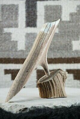 Bird Zuni Fetish Carving - Harvey Harker - High Lonesome Trading