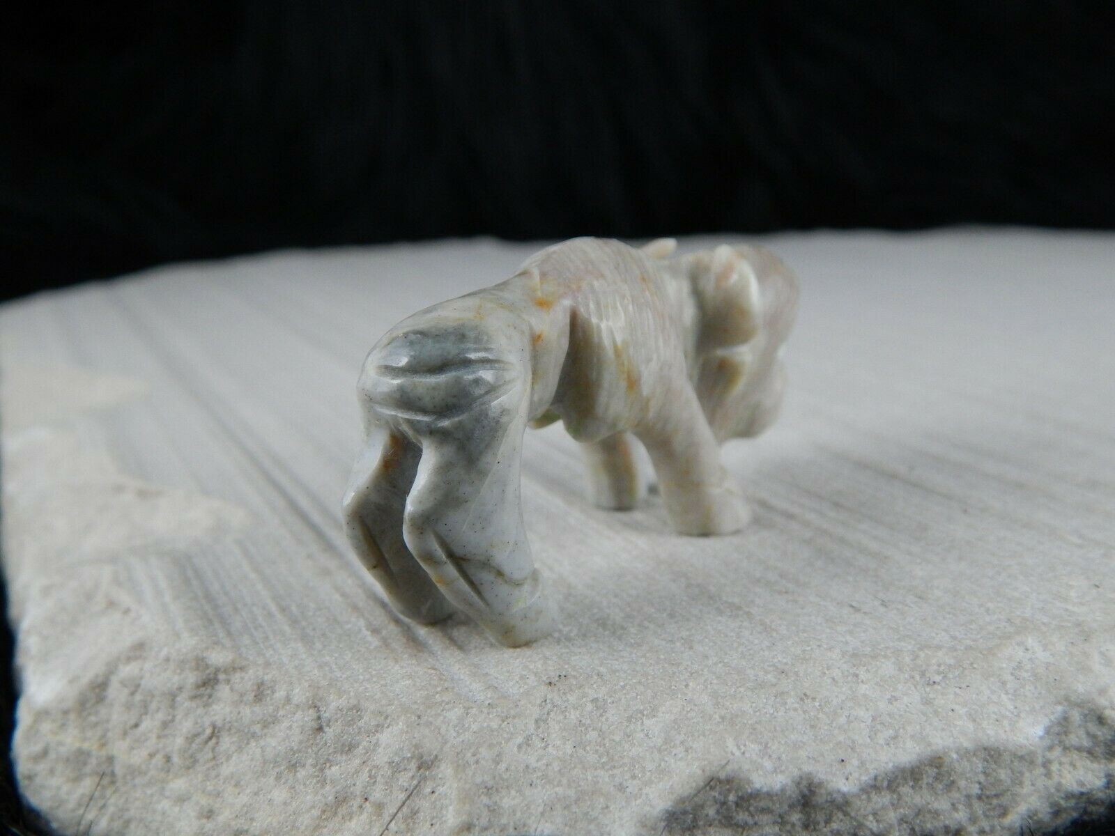 Buffalo Zuni Fetish Carving - Jonas Hastito - High Lonesome Trading