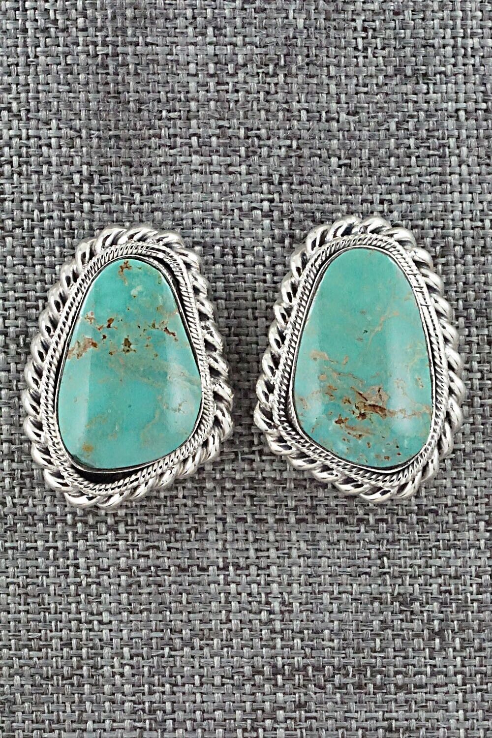 Turquoise and Sterling Silver Earrings - Sharon McCarthy