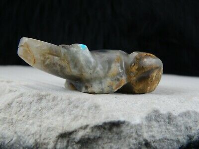Frog Zuni Fetish Carving - Rodney Laiwakete - High Lonesome Trading