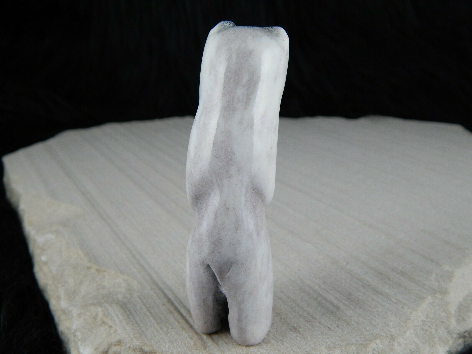 Bear Zuni Fetish Carving - Marlon Lowsayatee - High Lonesome Trading