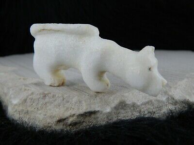 Mountain Lion Zuni Fetish Carving - Kevin Quam - High Lonesome Trading