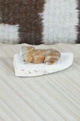 Lizard Zuni Fetish Carving - Kent Panteah