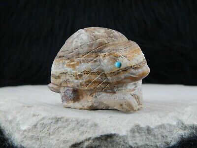 Armadillo Zuni Fetish Carving - Evan Cachini - High Lonesome Trading