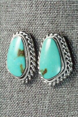 Turquoise and Sterling Silver Earrings - Sharon McCarthy