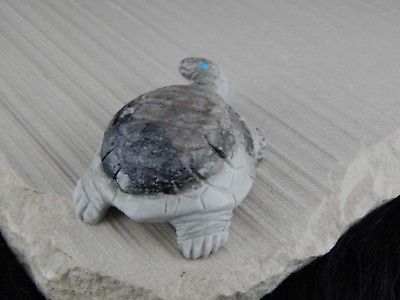 Turtle Zuni Fetish Carving - Darrell Westika - High Lonesome Trading