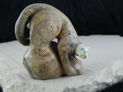 Mountain Lion Zuni Fetish - Lance Cheama - Zuni Mountain Lion Carving - High Lonesome Trading