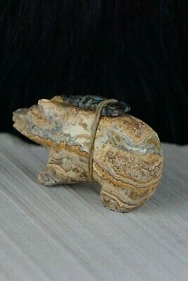 Bear Zuni Fetish Carving - Kevin Quam - High Lonesome Trading