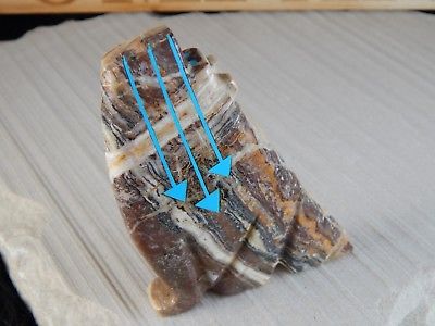 Wolf Zuni Fetish Carving - Bernard Laiwakete - High Lonesome Trading