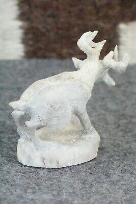 Deer Zuni Fetish Carving - Lewis Malie Jr. - High Lonesome Trading