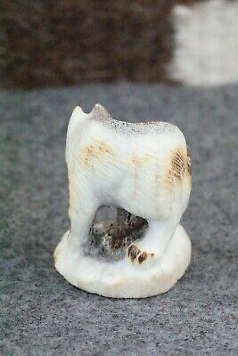 Fox Zuni Fetish Carving - Maxx Laate - High Lonesome Trading