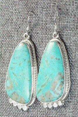Turquoise & Sterling Silver Earrings - Sharon McCarthy