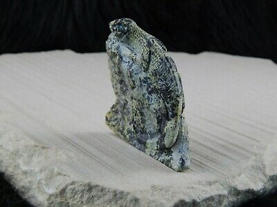 Lizard Zuni Fetish Carving - Colin Weeka - High Lonesome Trading
