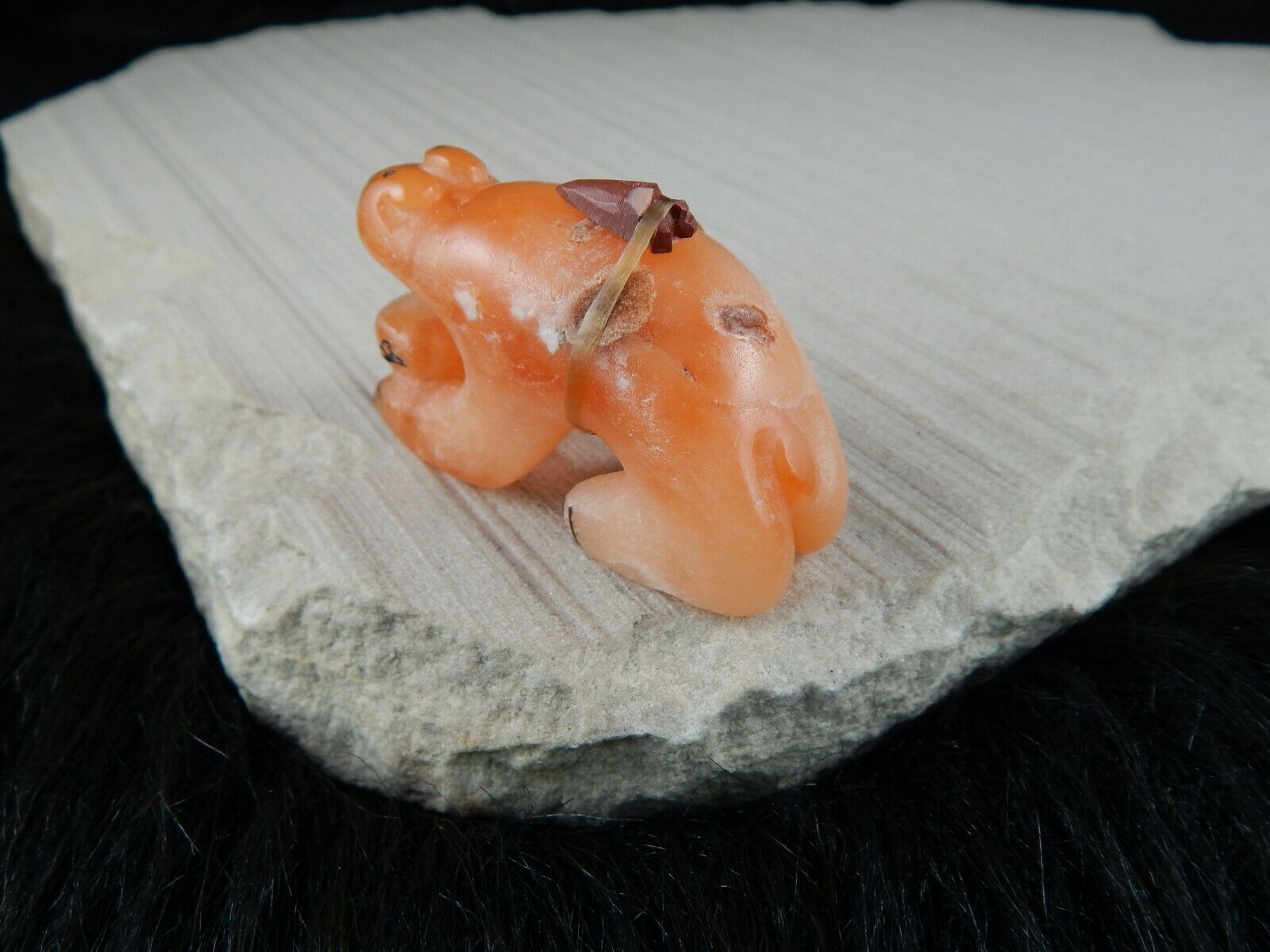 Bear Zuni Fetish Carving - Rick Kallestewa - High Lonesome Trading