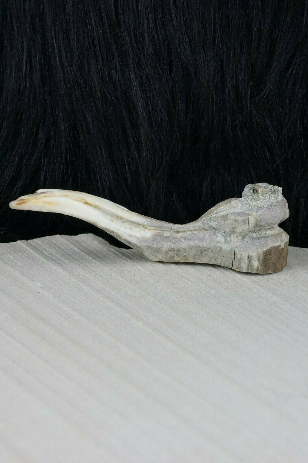 Iguana Zuni Fetish Carving - Lewis Malie - High Lonesome Trading