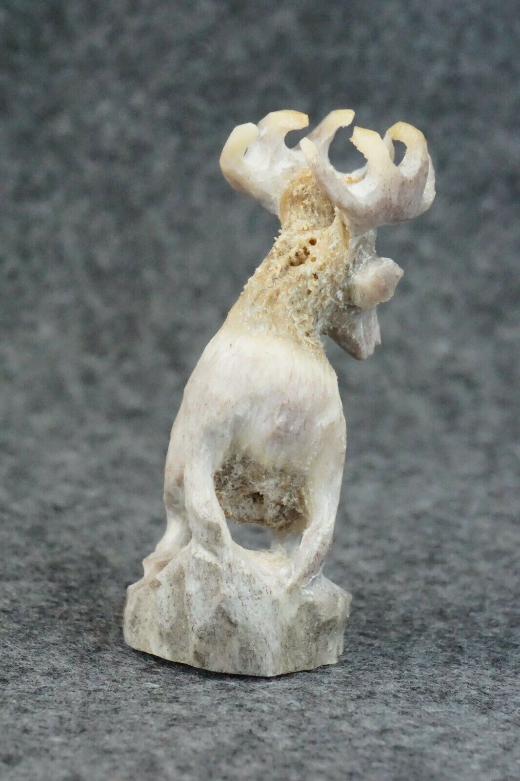 Deer Zuni Fetish Carving - Lewis Malie Jr.