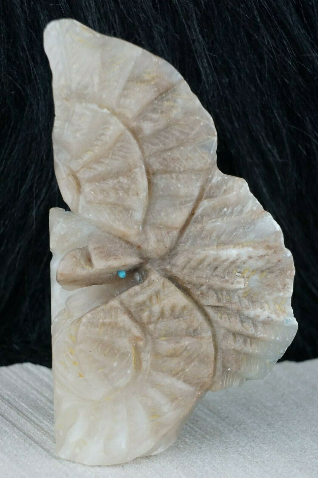 Eagle Zuni Fetish Carving - Jerrold Lahaleon - High Lonesome Trading