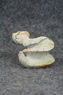Rattlesnake Fetish Carving - Ben Kamaasee