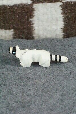 Racoon Zuni Fetish Carving - Suzette Lementino