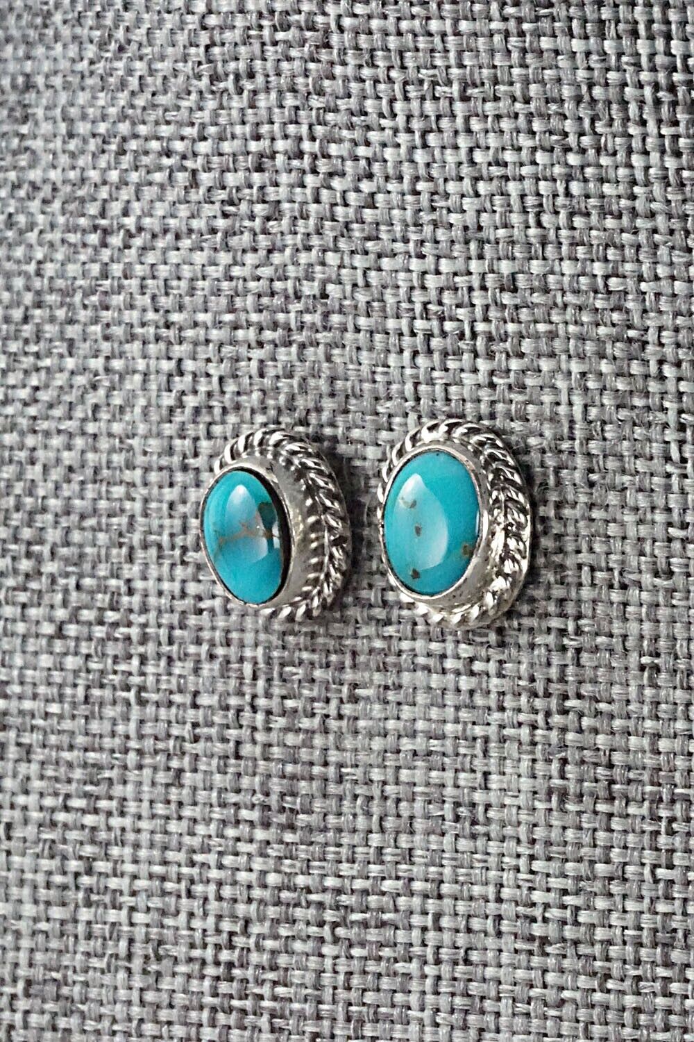 Turquoise & Sterling Silver Earrings - Jan Mariano