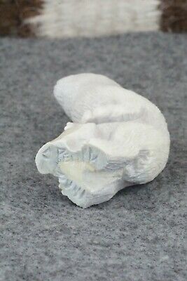 Tasmanian Devil Zuni Fetish Carving - Chris Peina