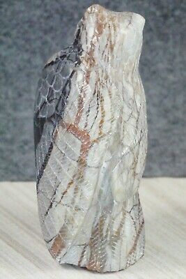 Owl Zuni Fetish Carving - Derrick Kaamasee