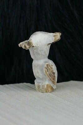 Owl Zuni Fetish Carving - Chris Peina - High Lonesome Trading