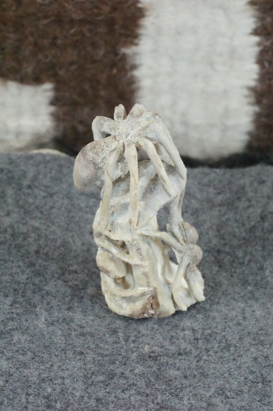 Spider Zuni Fetish Carving - Lewis Malie Jr.