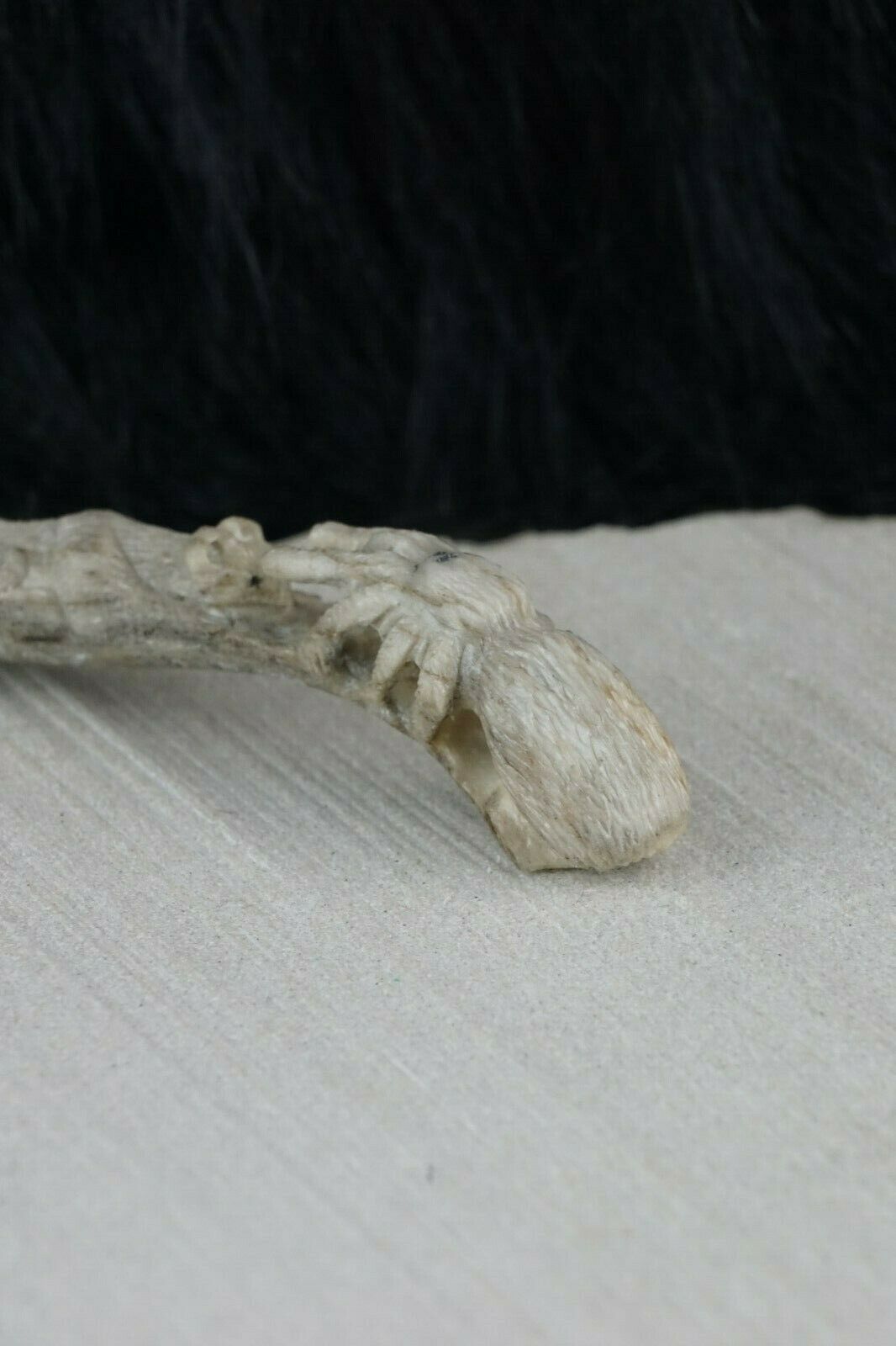 Mountain Lion & Spider Zuni Fetish Carving - Glenn Laate - High Lonesome Trading