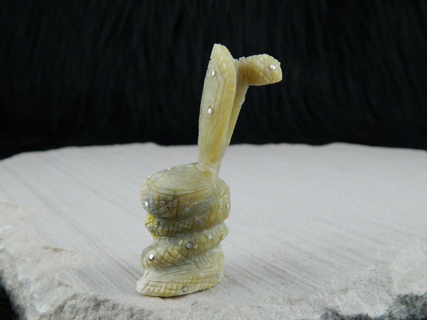 Cobra Zuni Fetish Carving - Kevin Allapowa - High Lonesome Trading