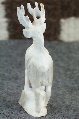 Deer Zuni Fetish Carving - Jerrold Lahaleon - High Lonesome Trading