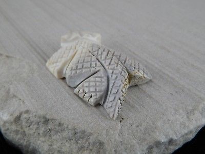 Lizard Zuni Fetish Carving - Carl Etsate - High Lonesome Trading