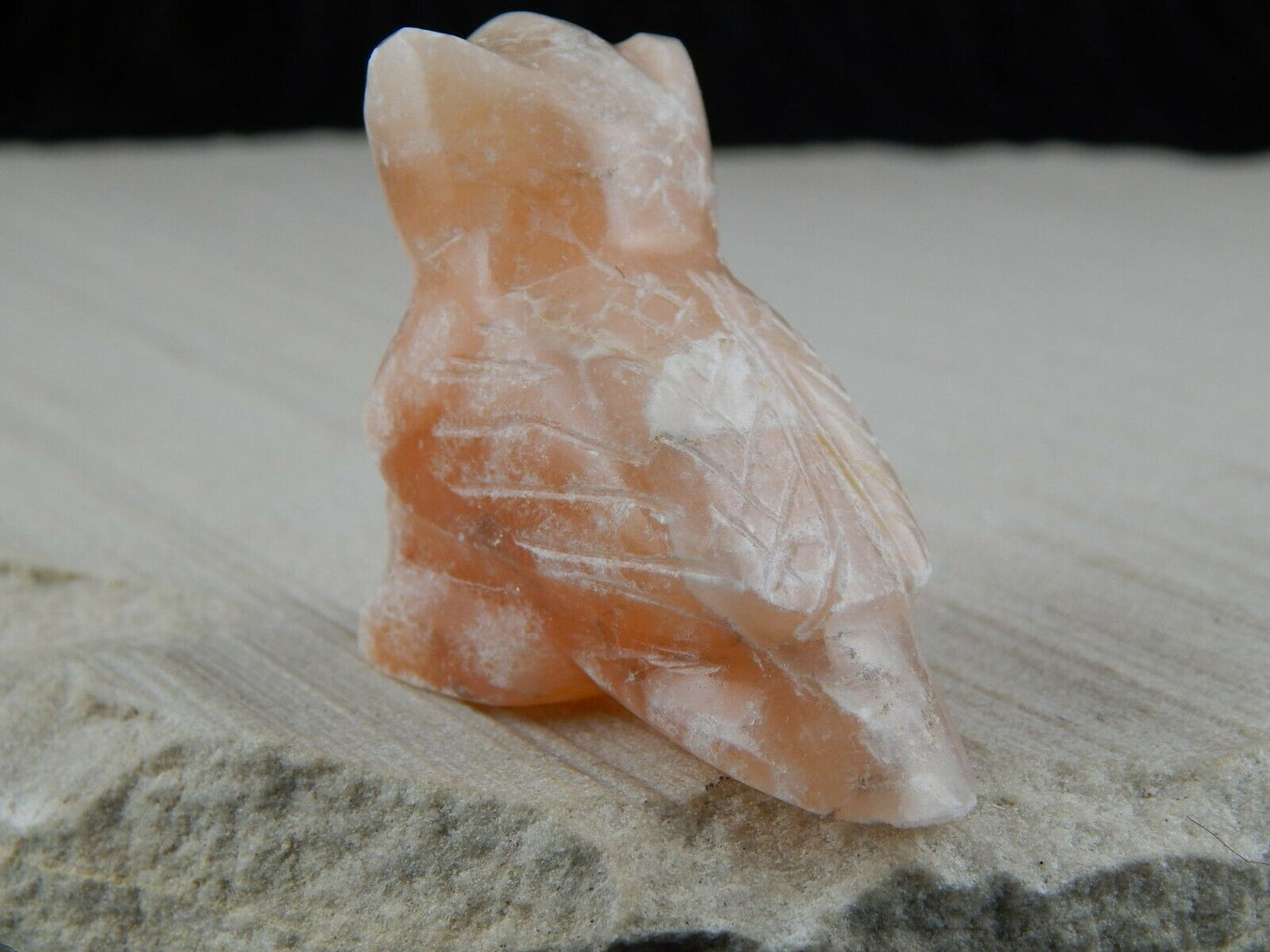 Owl Zuni Fetish Carving - Lena Boone - High Lonesome Trading