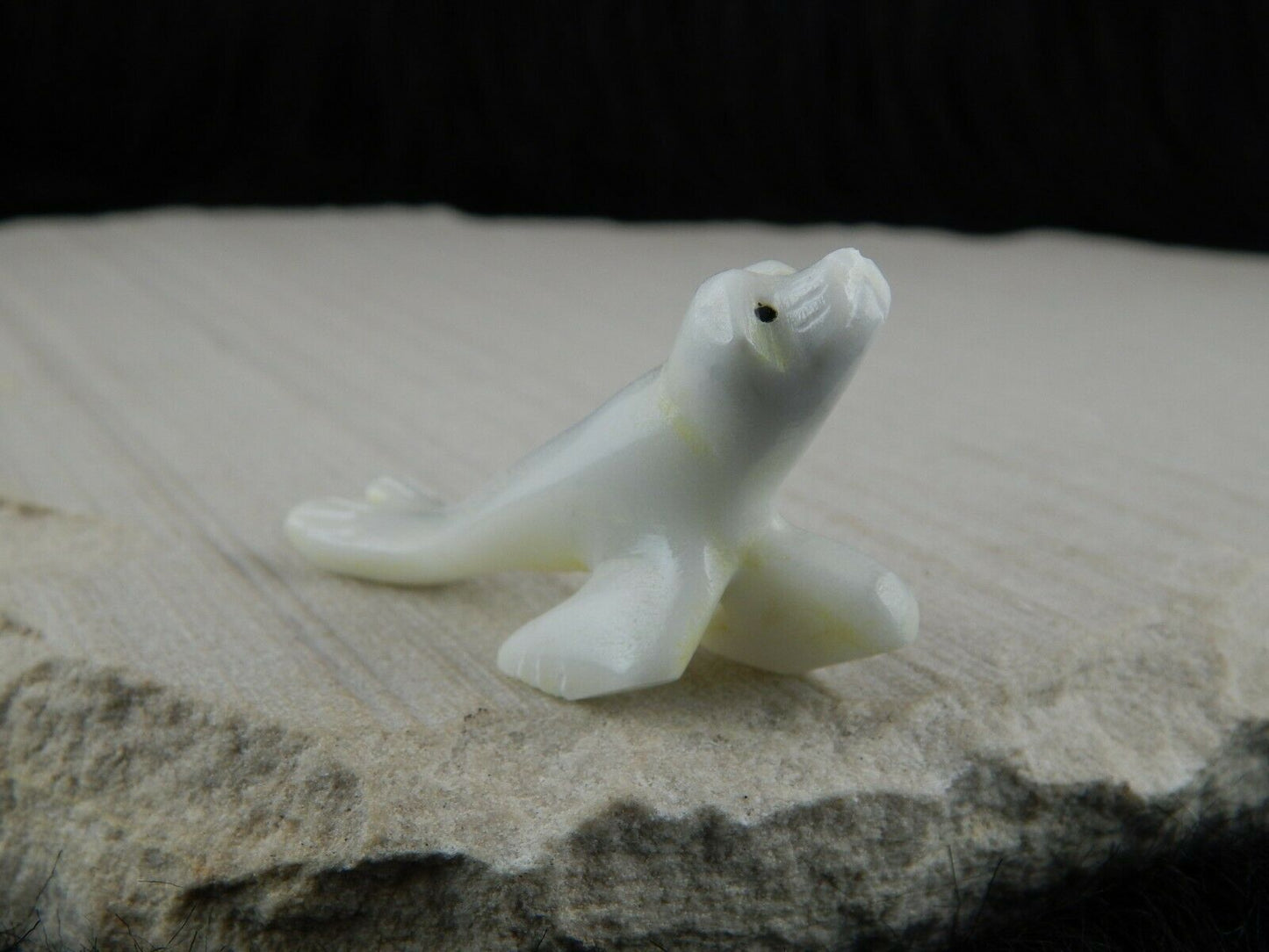 Seal Zuni Fetish Carving - Russell Shack - High Lonesome Trading