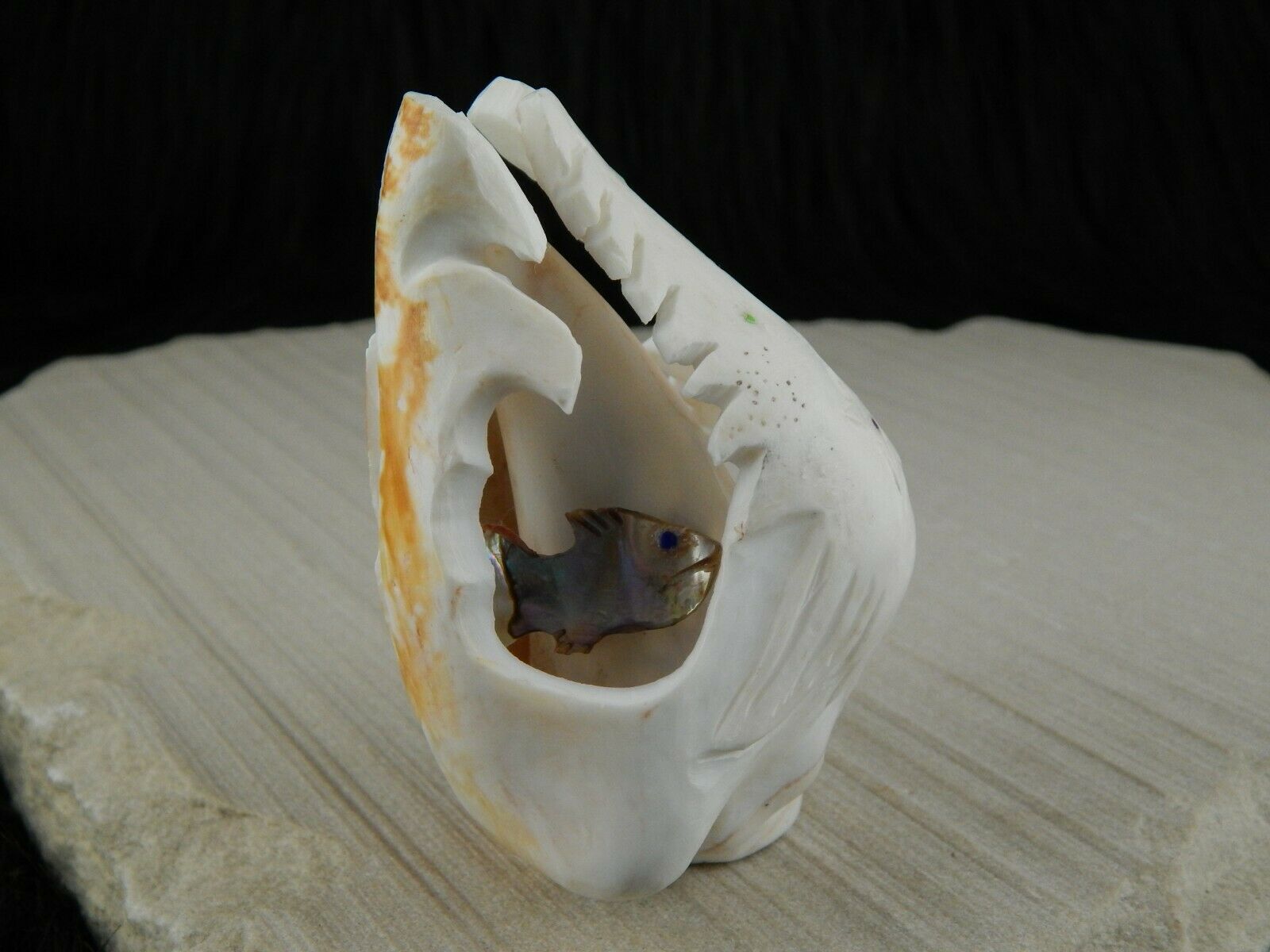 Sea Horse Zuni Fetish Carving - Vaughn Kaskalla - High Lonesome Trading