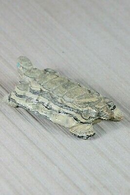 Turtle Zuni Fetish Carving - Herbert Him