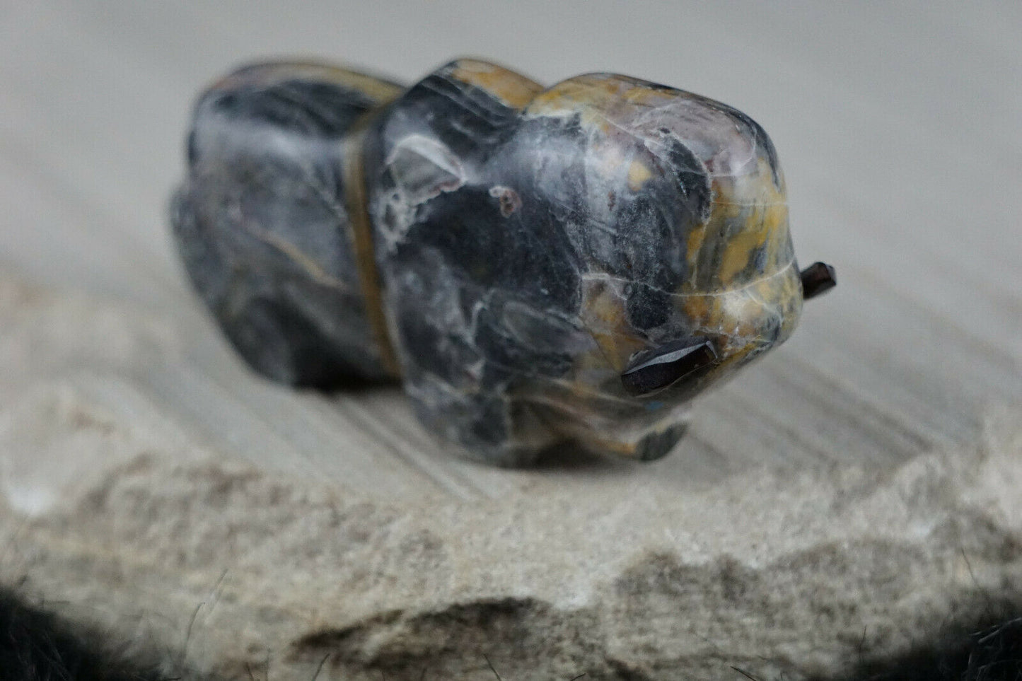 Buffalo Zuni Fetish Carving - Joshua Leki - High Lonesome Trading