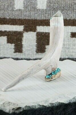 Bird Zuni Fetish Carving - Harvey Harker - High Lonesome Trading