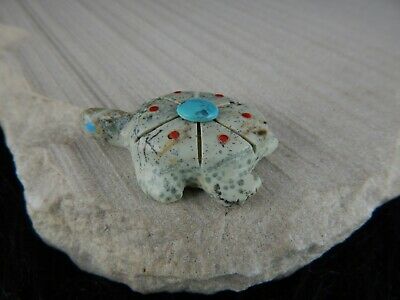Turtle Zuni Fetish Carving - Kevin Quam - Zuni Turtle Carving - High Lonesome Trading