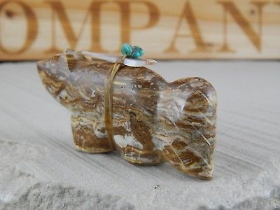 Bear Zuni Fetish Carving - Daphie Quam - High Lonesome Trading