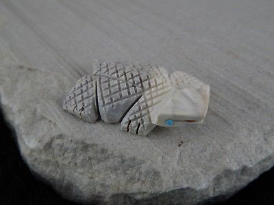 Lizard Zuni Fetish Carving - Carl Etsate - High Lonesome Trading