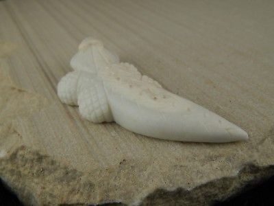 Lizard Zuni Fetish Carving - Lee Bedonie - High Lonesome Trading