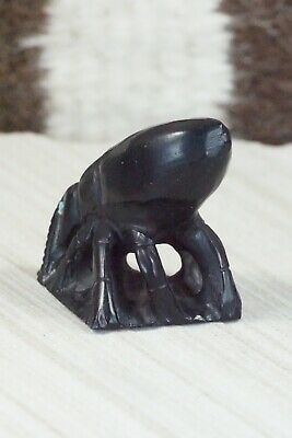 Beetle Zuni Fetish Carving - Derrick Kaamasee